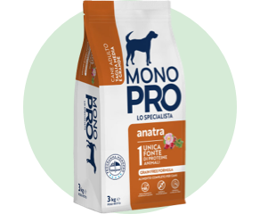 Cibo secco per cani